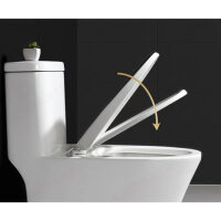 WC-Sitz mit Soft-Close-Funktion und abnehmbarem Sitz