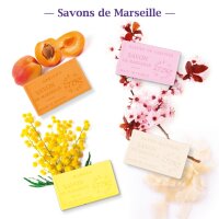 Original französische Marseille-Seife LHP | 39 verschiedene Sorten | 100g Naturseife aus der Provence | Traditionelle Pflanzenölseife Festes Stück Verveine - Eisenkraut (Verbena)