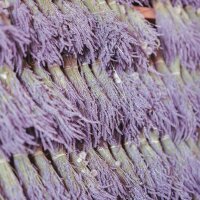 Kopie von &Auml;therisches Lavendel&ouml;l Echter Lavendel und Lavandin Lavendel #1