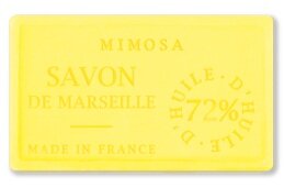 Mimosa - Mimose