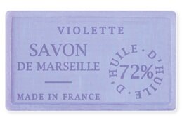 Violette - Veilchen